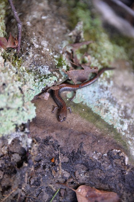 Besichtigung April 2015 (34)